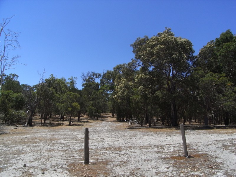 20 Tuart Grove, Lake Clifton WA 6215