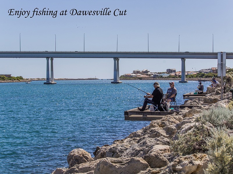 2/42 Olive Road, Falcon WA 6210