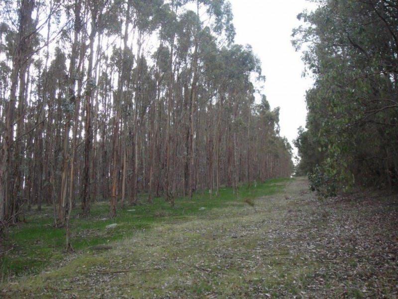 Lot 11250 Westbourne Road, Boyup Brook WA 6244