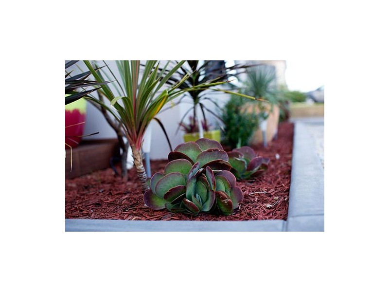 3 Pictum way, Halls Head WA 6210