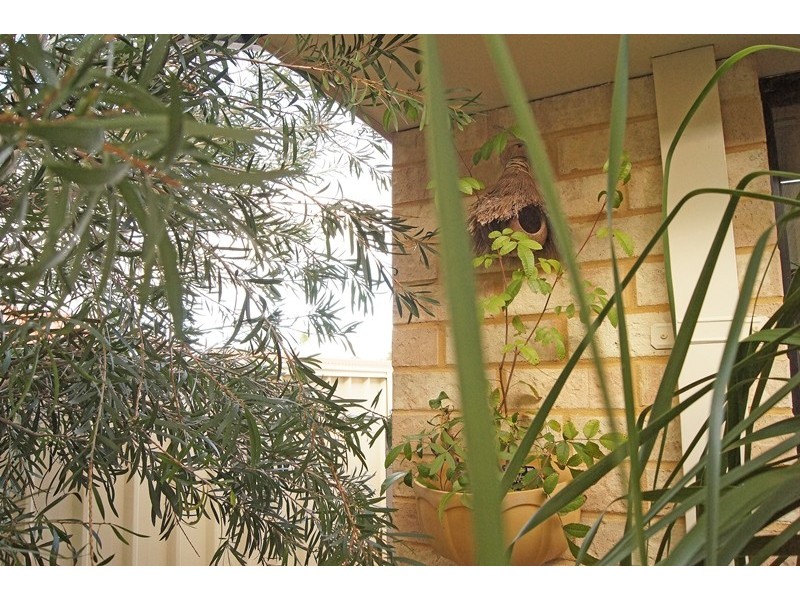 5/24 Creery St, Dudley Park WA 6210