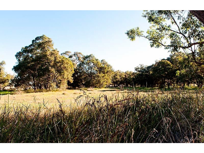 50 Beacham Road, Ravenswood WA 6208