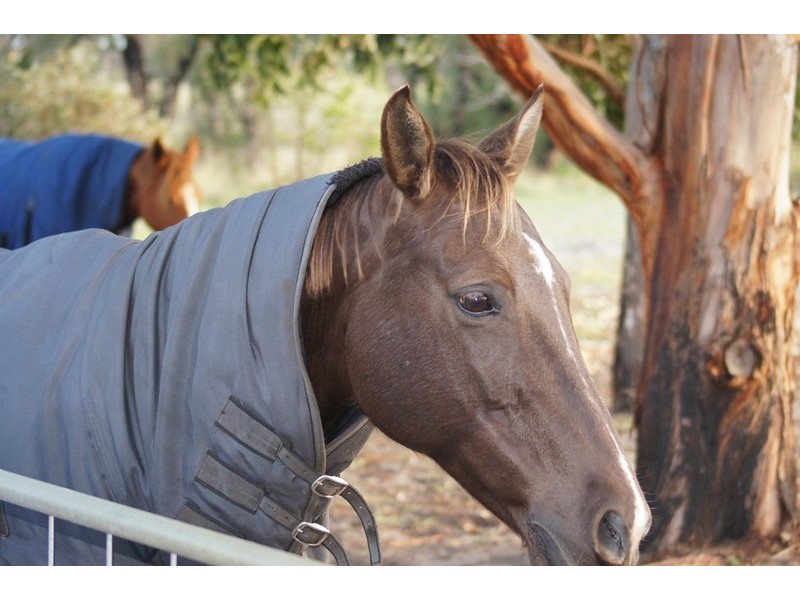 263 Moores Road, West Pinjarra WA 6208