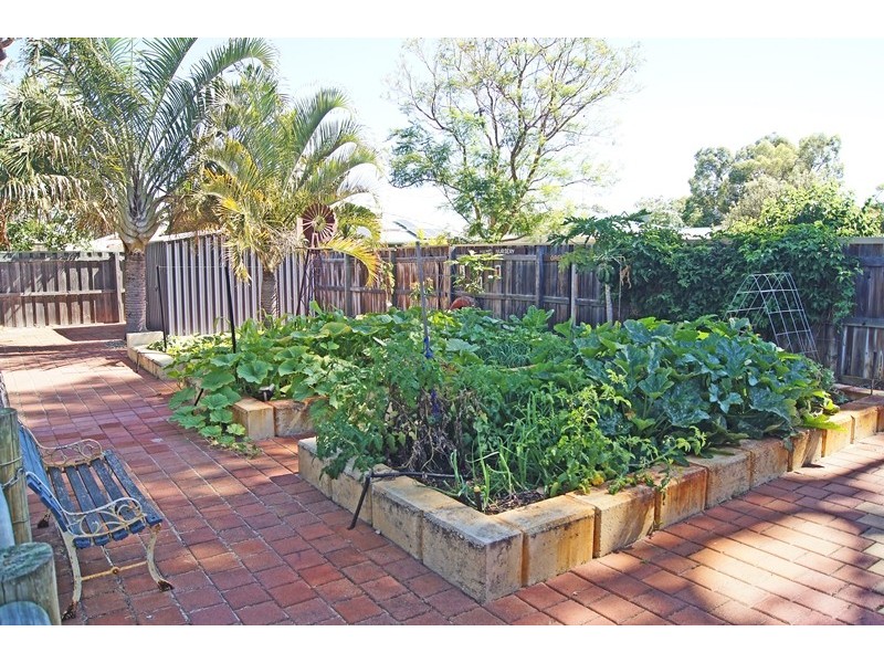 17 Macquarie Drive, Coodanup WA 6210