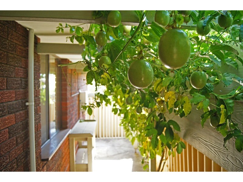 25 Salter St, Pinjarra WA 6208