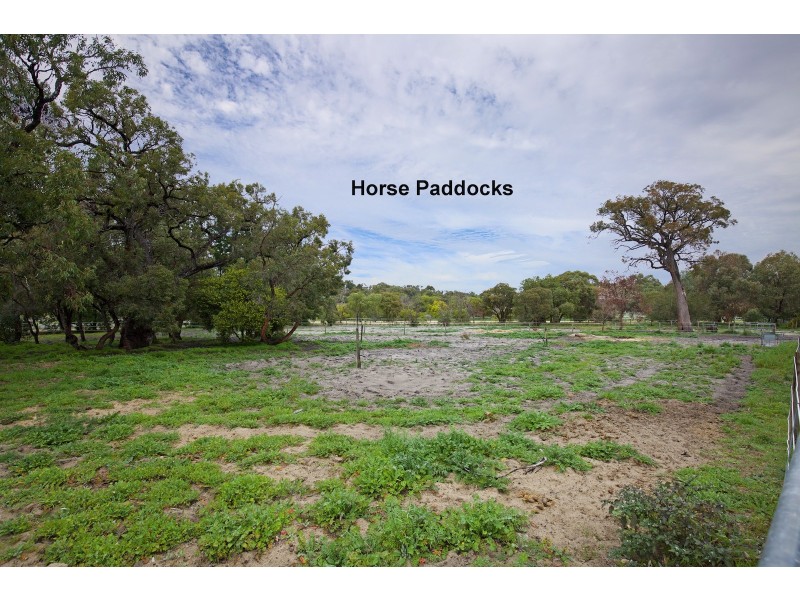 141 Amarillo Drive, Karnup WA 6176