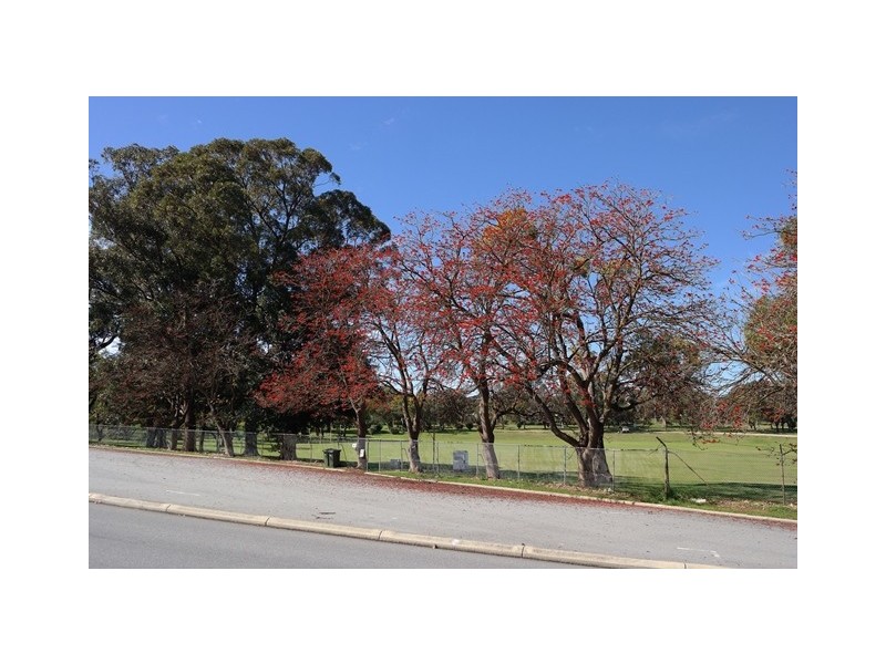 30 Brownell Crescent, Medina WA 6167