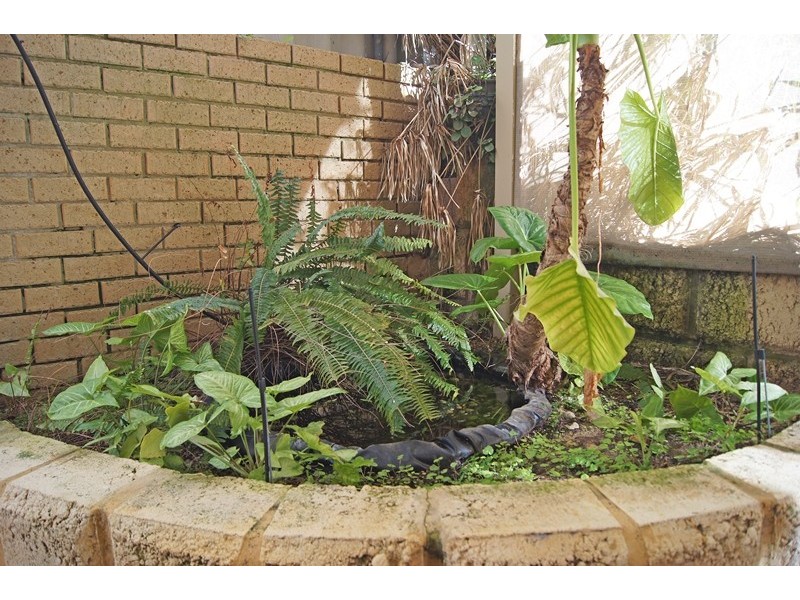 16 Oaklands Avenue, Halls Head WA 6210