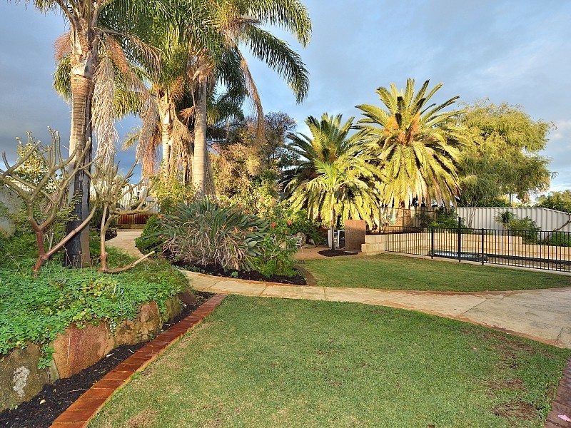 19 Elderberry Circle, Halls Head WA 6210