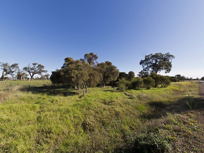 Lot 8 Curtis Lane, West Pinjarra WA 6208