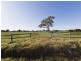 Lot 4 San Simeon Way, West Pinjarra WA 6208