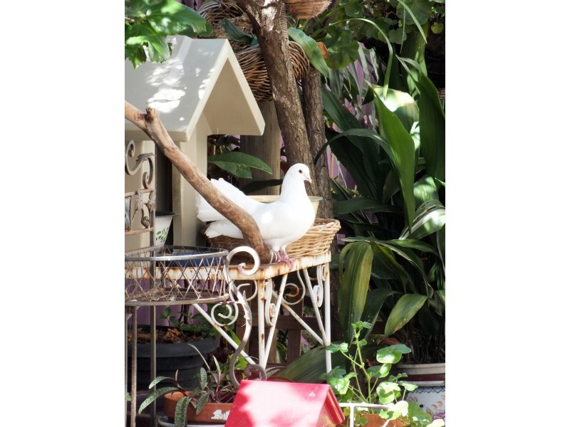 4/33 Creery Street, Mandurah WA 6210