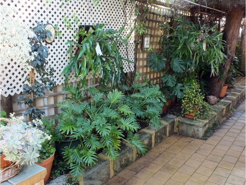 4/33 Creery Street, Mandurah WA 6210