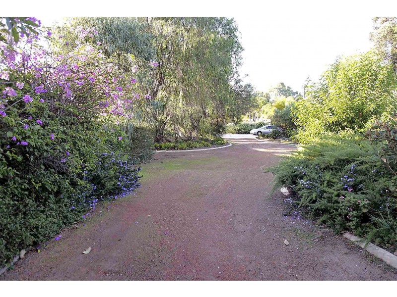 19 Boronia Close, Pinjarra WA 6208