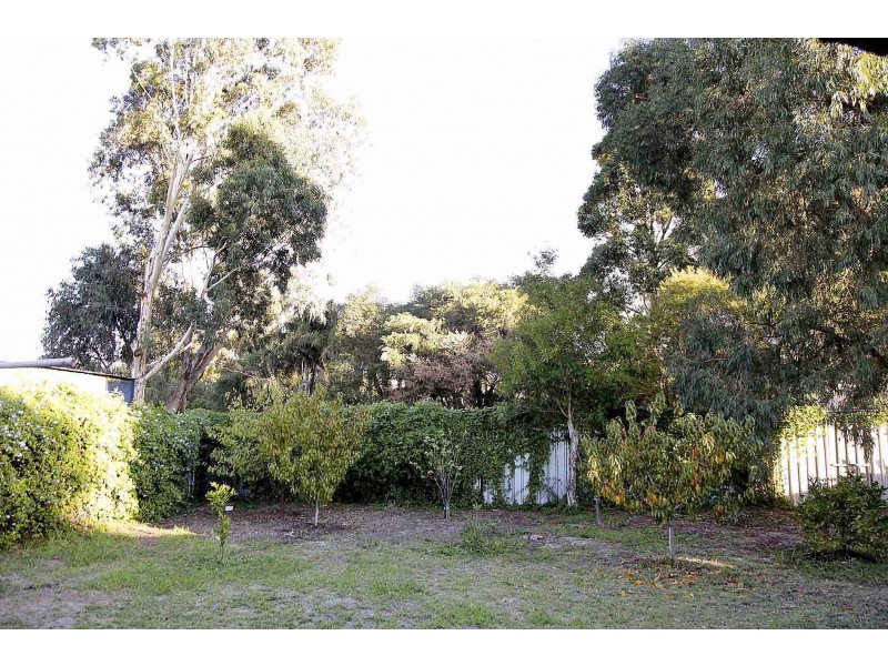 19 Boronia Close, Pinjarra WA 6208