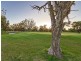 20 Hamlet Pass, Pinjarra WA 6208