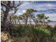 23 Lemongrass Way, Falcon WA 6210
