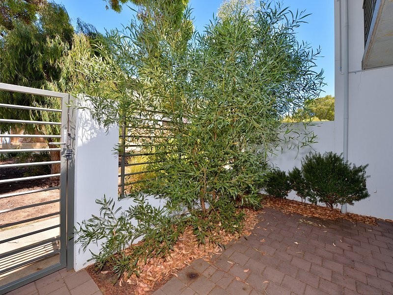 2/22 Butcherbird Loop, Erskine WA 6210