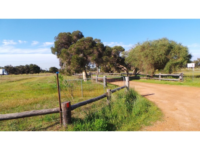 1602 Pinjarra Road, Pinjarra WA 6208