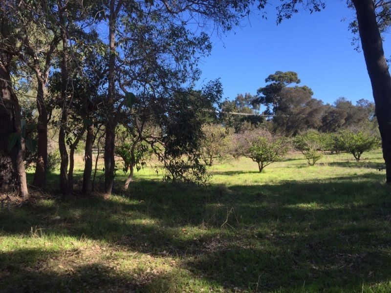 77 Matthie Road, Barragup WA 6209