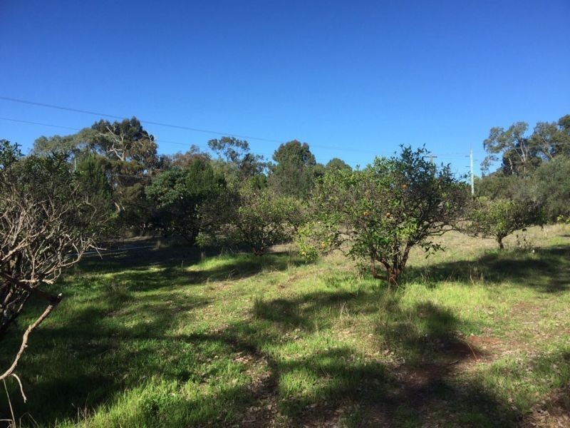 77 Matthie Road, Barragup WA 6209