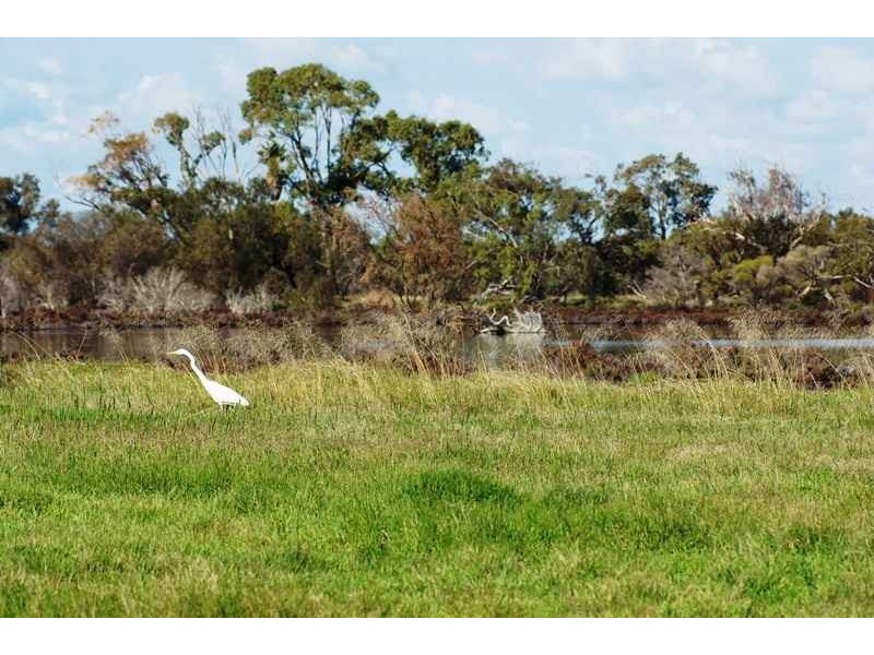 23B Nairn Road, Coodanup WA 6210