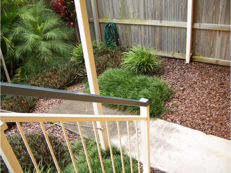 5/24 Collings Street, Balmoral QLD 4171