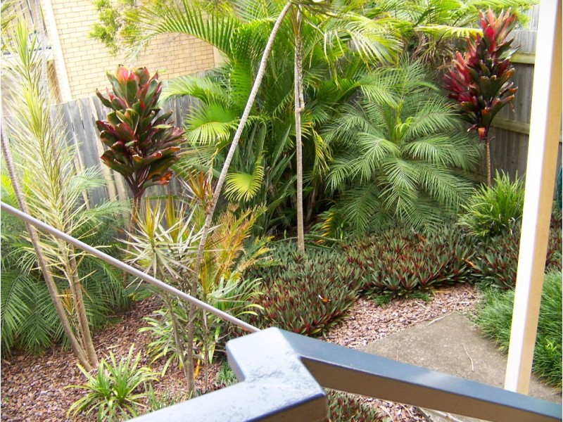 5/24 Collings Street, Balmoral QLD 4171