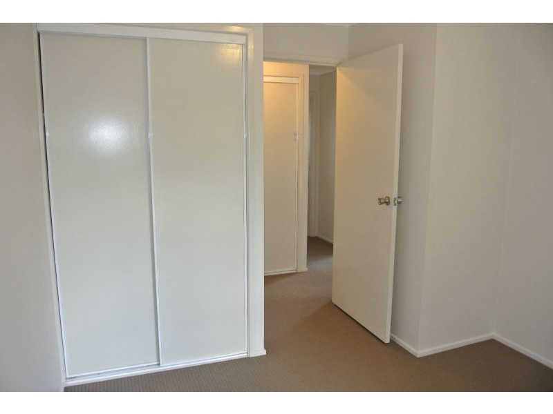 47 Camboor Street, Camp Hill QLD 4152