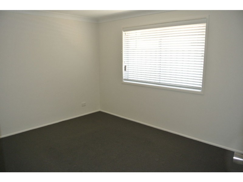 117 Ferguson Road, Camp Hill QLD 4152