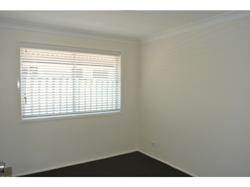 117 Ferguson Road, Camp Hill QLD 4152