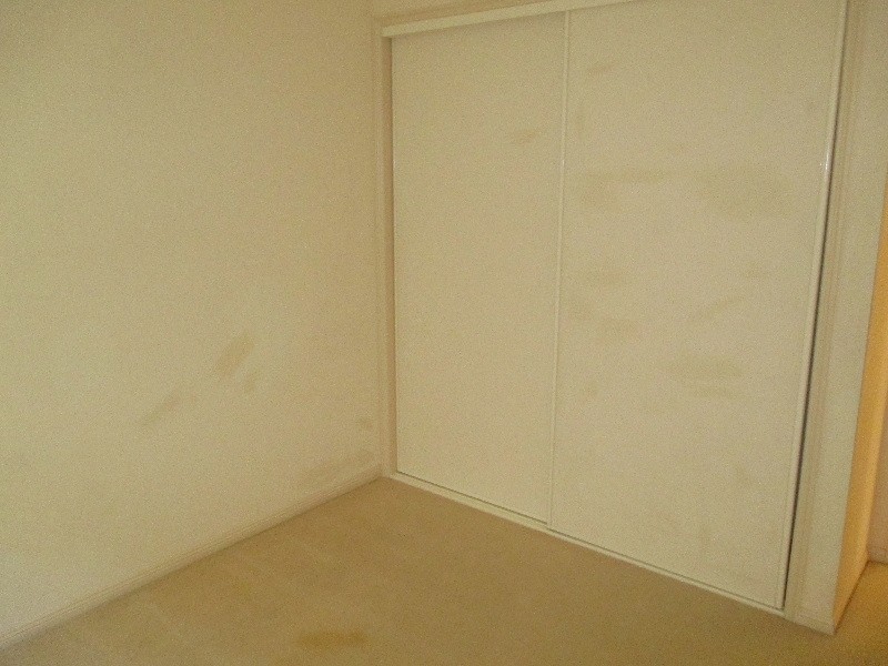 19 Jasmine street, Wakerley QLD 4154