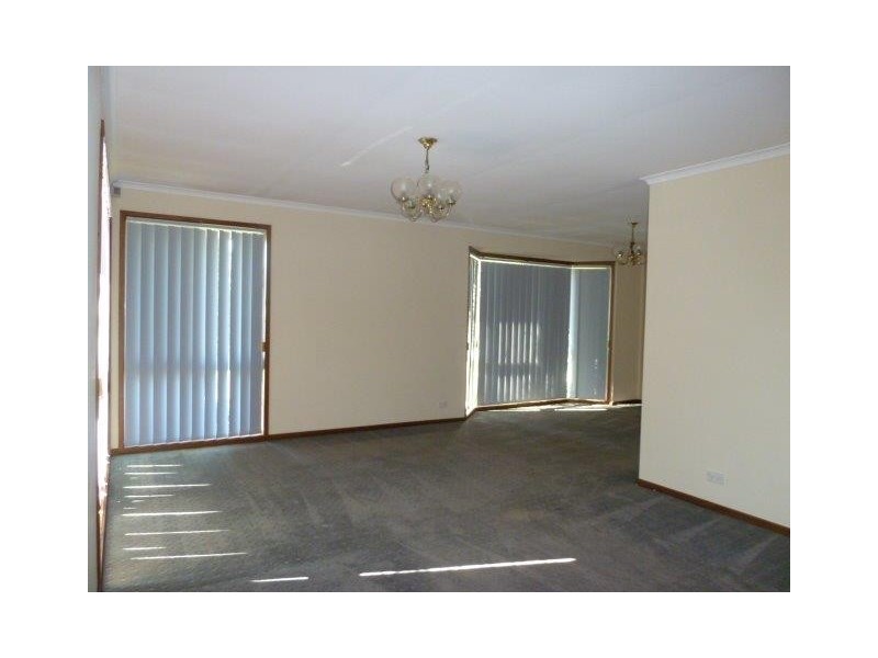 19 Ellora Street, Alexandra Hills QLD 4161