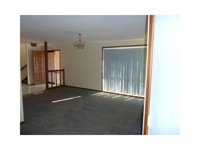 19 Ellora Street, Alexandra Hills QLD 4161