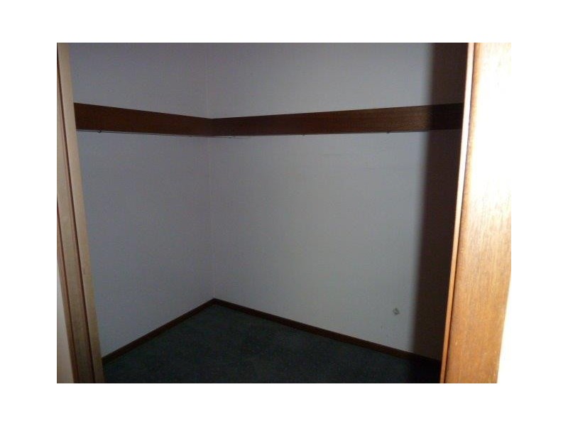 19 Ellora Street, Alexandra Hills QLD 4161