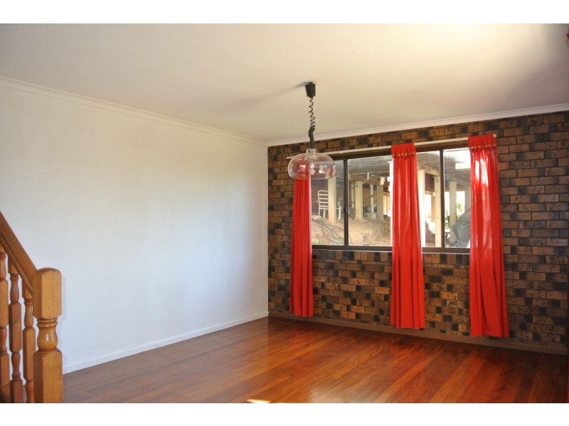 17 Harvest Street, Mansfield QLD 4122