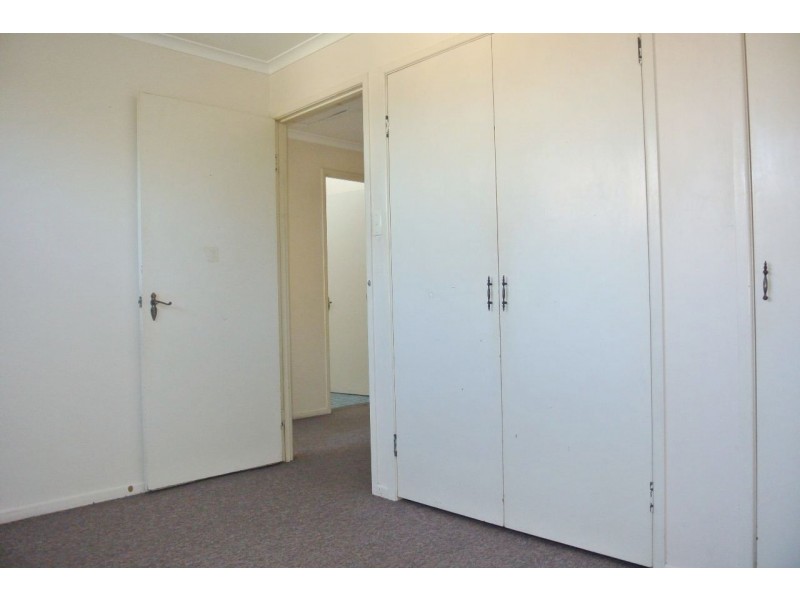 17 Harvest Street, Mansfield QLD 4122