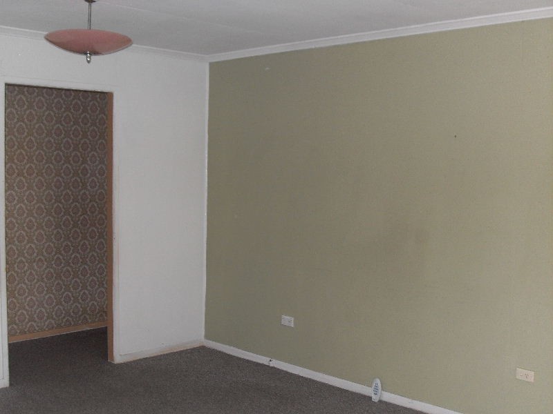 101 Hecklemann Street, Carina Heights QLD 4152