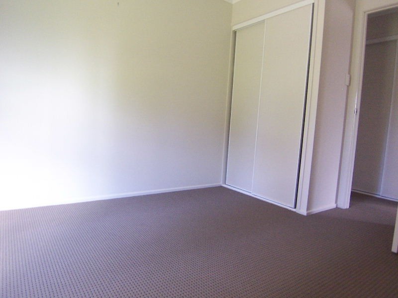 47 Camboor Street, Camp Hill QLD 4152