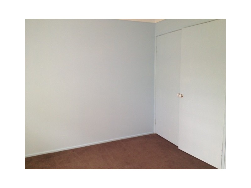 113 Landseer Street, Sunnybank Hills QLD 4109