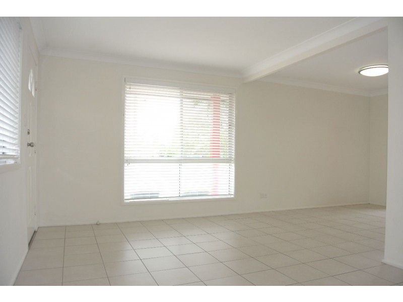 117 Ferguson Road, Camp Hill QLD 4152