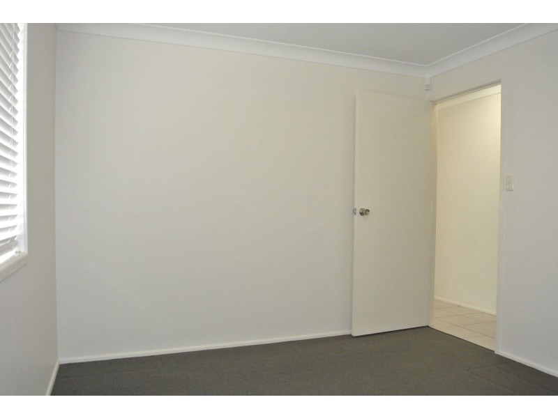 117 Ferguson Road, Camp Hill QLD 4152