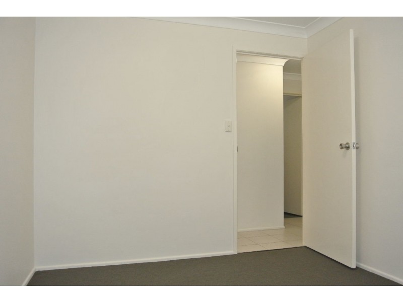 117 Ferguson Road, Camp Hill QLD 4152