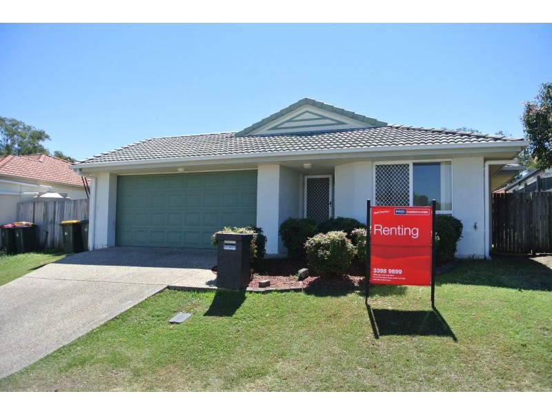 19 Jasmine Street, Wakerley QLD 4154