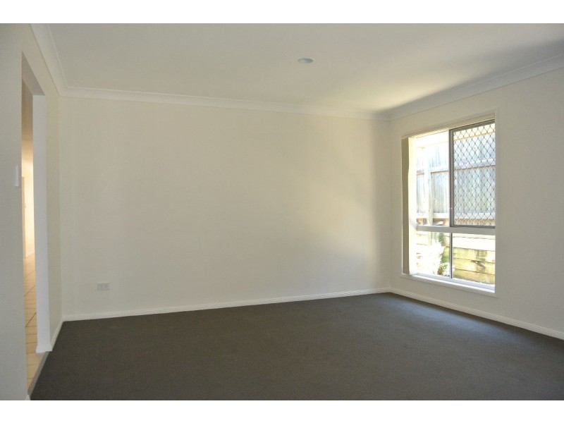 19 Jasmine Street, Wakerley QLD 4154