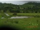 5 Lagoon Creek Rd, West Haldon QLD 4359