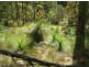 5 Lagoon Creek Rd, West Haldon QLD 4359