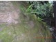 5 Lagoon Creek Rd, West Haldon QLD 4359