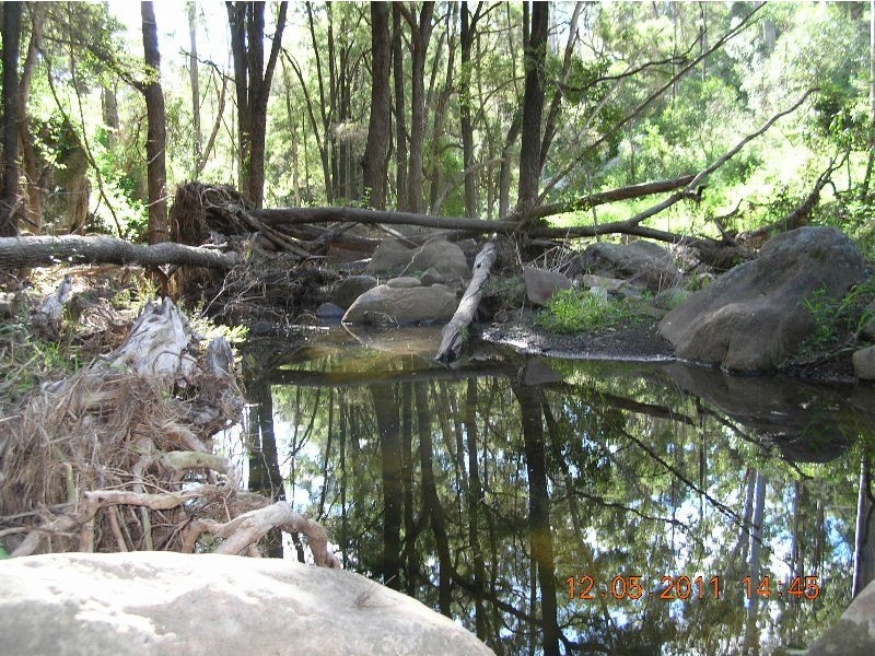 5 Lagoon Creek Rd, West Haldon QLD 4359