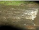 5 Lagoon Creek Rd, West Haldon QLD 4359